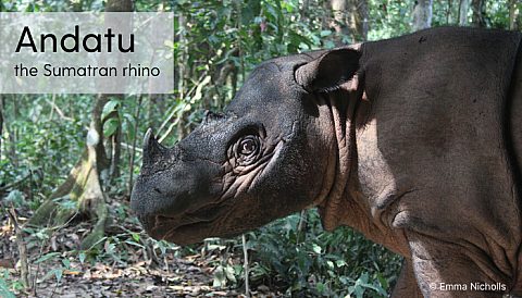 Blog 7 - Rhino Stationery