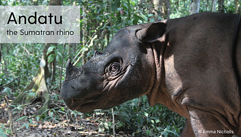 Blog 7 - Rhino Stationery