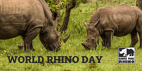 Email Image - Rhino Stationery