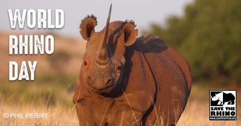 Facebook - Rhino Stationery