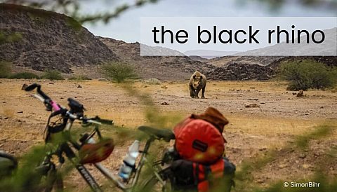 Blog 4 - Rhino Stationery