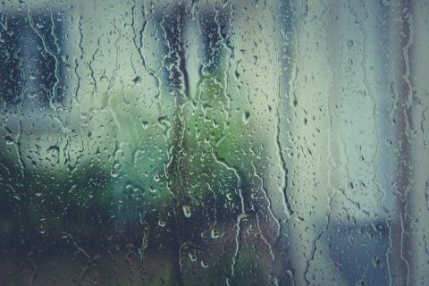 Rainy days - Rhino Stationery
