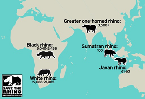 2924c02c3732769cee5615d175caaaeb - Rhino Stationery