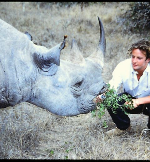 28eab5e7a4b5936376e37491d1679eac - Rhino Stationery
